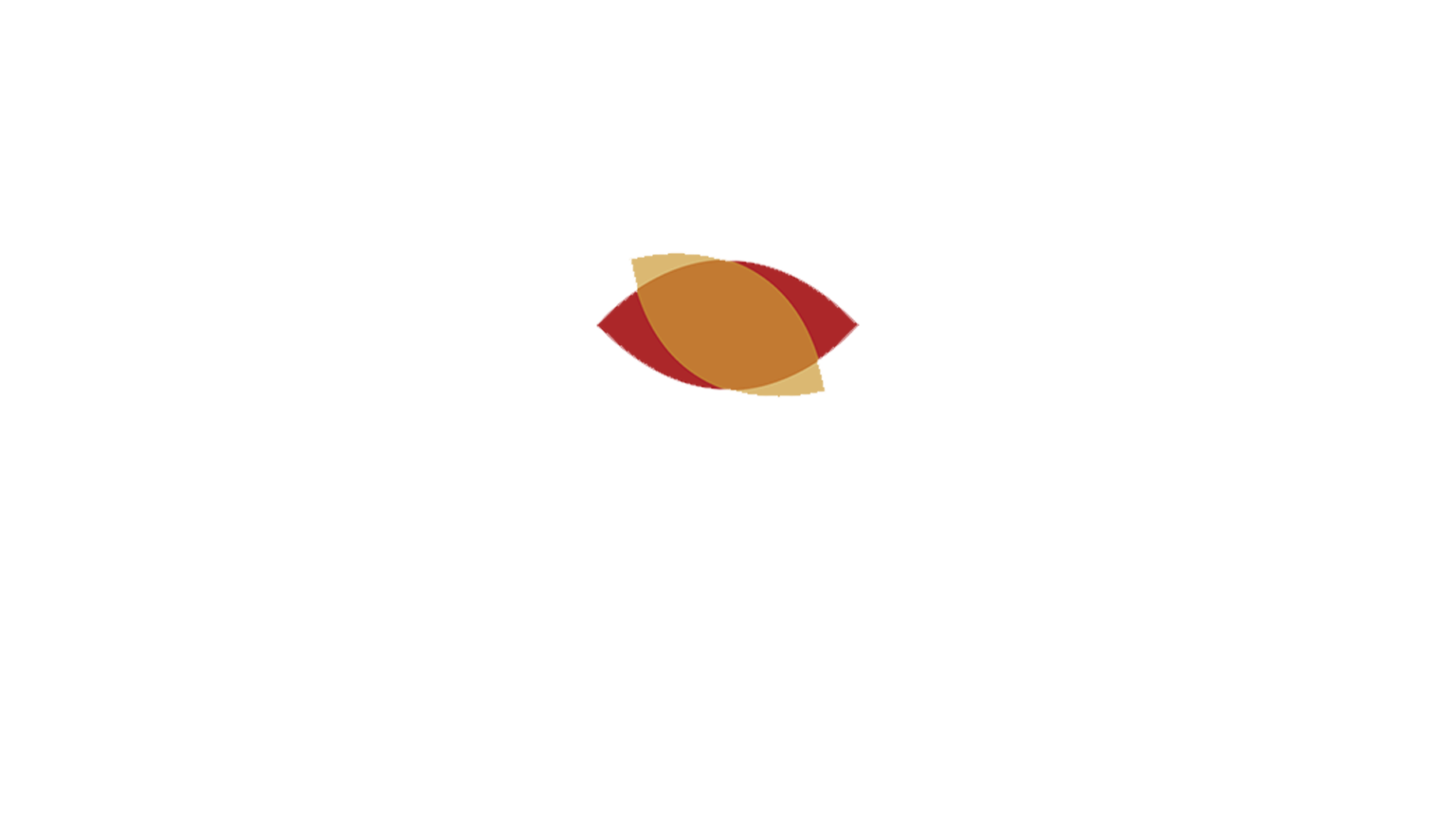 logo_amireia_pajoara